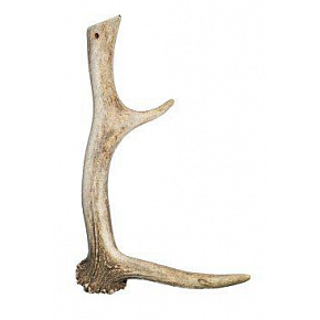 Hangya csemege Danek 230-320g Hangya csemege Danek 230-320g