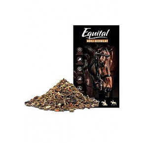Equital Gabonamentes Müzli lovaknak 20kg