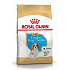 Royal Canin Breed Cavalier King Charles Junior 1,5kg