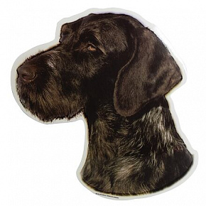 TRIXIE matrica, Német drótszőrű vizsla