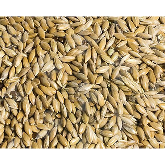 VL Galambok Fényes kanárifű 25 kg