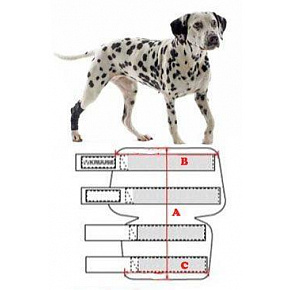 KRUUSE XXXS Rehab bokakötés kutyának KRUUSE XXXS Rehab bokakötés kutyának