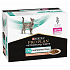Purina VD Feline - HU St/Ox Gastroint. Lazac kapszula 10x85 g