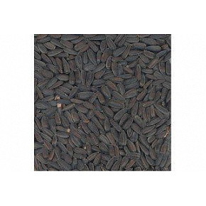 Napraforgó fekete 800g