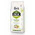 Brit Fresh Dog Kacsa és köles Active Run & Work 2,5kg