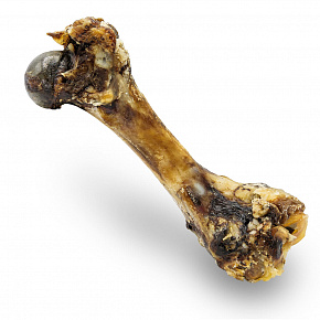 Természetesen szárított sonkacsont 20 cm / 280 g