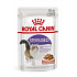Royal Canin Feline sterilizált tasak, lé 85g