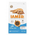 Iams Macska Kölyök Óceáni Hal 3kg
