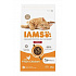 Iams Macska Felnőtt Beltéri Csirke 2kg