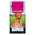 Eukanuba Dog Senior Large bárányban gazdag 12kg