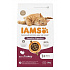 Iams Cat Adult Pulyka 3kg