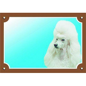 Színes tábla Figyelem kutya, pudli light