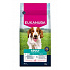 Eukanuba Dog Adult Small&Medium gazdag Sal&Barley12kg