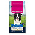 Eukanuba Dog Mature Medium friss csirkében gazdag 3kg