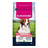 Eukanuba Dog Senior Small&Medium bárányban gazdag 3kg