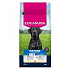 Eukanuba Dog Mature Large friss csirkében gazdag 15kg