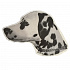 TRIXIE matrica fej, dalmata