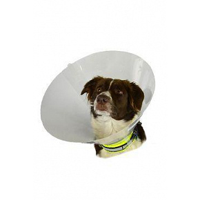 BUSTER védőgallér műanyag Classic Collar készlet 7 db BUSTER védőgallér műanyag Classic Collar készlet 7 db