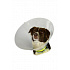 BUSTER védőgallér műanyag Classic Collar készlet 7 db
