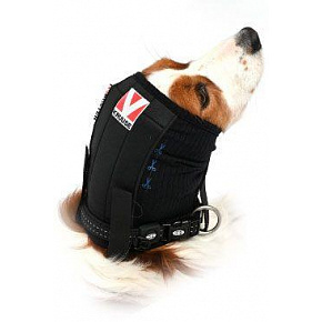 BUSTER fül- és fejkötés kutyáknak L