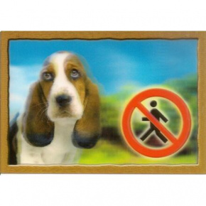 3D Tábla KUTYÁK, Basset