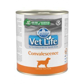 Vet Life Natural Dog Cons. Gyógyulás 300g