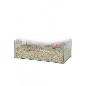 Csere alsó PANAS COLOUR 50 üveg Zolux Csere alsó PANAS COLOUR 50 üveg Zolux