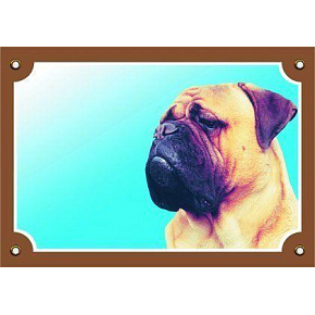 Színes tábla Figyelem kutya, Bullmastiff Színes tábla Figyelem kutya, Bullmastiff