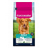 Eukanuba Dog Adult Large bárányban és rizsben gazdag 12kg