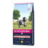 Eukanuba Dog Senior Medium 15kg