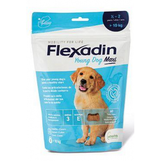 Flexadin Young Dog Maxi rágótabletta 60db Exsp. 2/2026