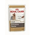 RC MV SHN MINI YORKSHIRE CAPSICLE 85 g