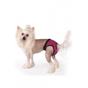 Fun Colours Play bugyi L