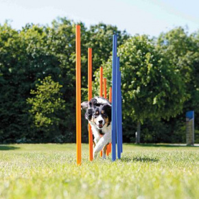 AGILITY szlalom, rúd 12db