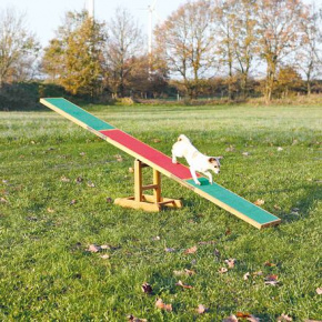 AGILITY hinta/pad 300x54x34cm max.80kg-ig TRIXIE