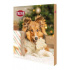 Adventi naptár kutyáknak 380g TR