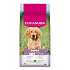 Eukanuba Dog Puppy Large bárányban gazdag 12kg