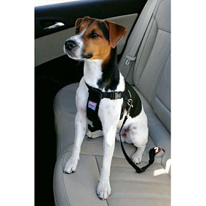 Kutyás biztonsági hám M Zolux