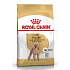 Royal Canin Breed Poodle 1,5kg