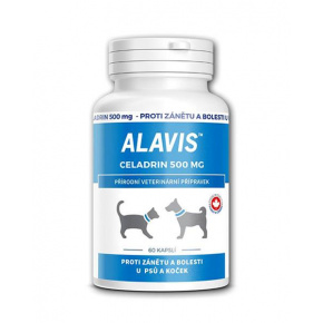 ALAVIS Celadrin 500 mg 60 tbl.