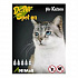 Dr.Pet spot-on pipetta macskáknak 5 x 1 ml (spot-on kullancs- és bolhaelhárító macskáknak)
