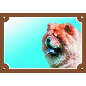 Színes tábla Figyelem kutya, Bye Bye Színes tábla Figyelem kutya, Bye Bye