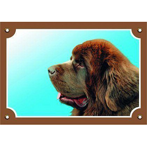 Színes jel Figyelem kutya, Newfoundland kan barna Színes jel Figyelem kutya, Newfoundland kan barna