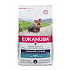 Eukanuba Dog BREED Felnőtt Yorkshire Terrier 2kg