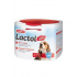 Beaphar Lactol kölyökkutya tejpor 250g
