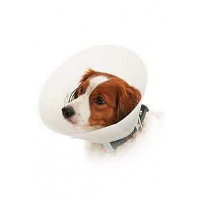 BUSTER védőgallérja nem tört el. Klasszikus nyakörv 20cm