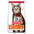 Hill Fel. SP Adult Bárány&Rizs 3kg