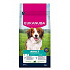 Eukanuba Dog Adult Small&Medium bárányban gazdag 12kg