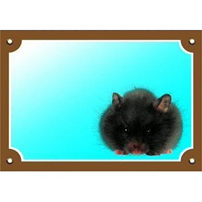 Színes jel Figyelem kutya, hörcsög Színes jel Figyelem kutya, hörcsög