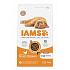 Iams Macska Kölyök Csirke 3kg